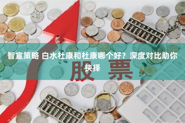 智宣策略 白水杜康和杜康哪个好？深度对比助你抉择